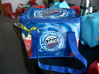 disposable ice cooler bag