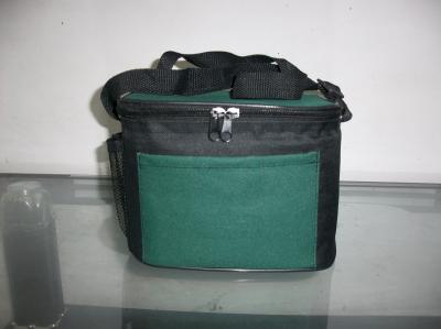 cooler bag with mesh pocket
