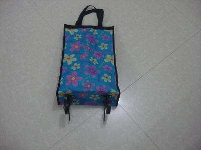 collapsible shopping bag trolley