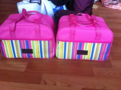 insulated cooler bag